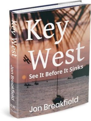 cover image of See It Before It Sinks